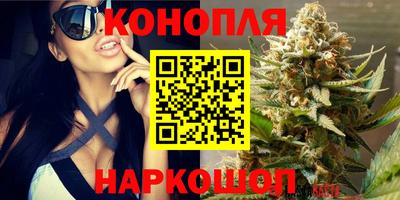 стафф Славянск-на-Кубани