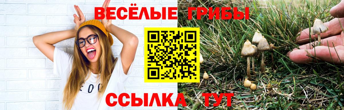 Псилоцибиновые грибы GOLDEN TEACHER Нижний Тагил